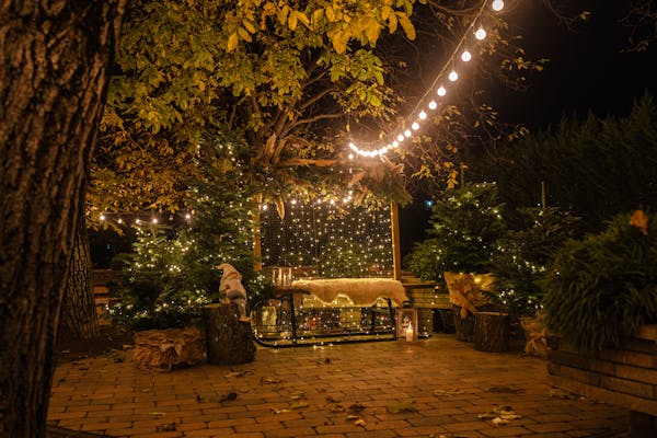Christmas lights installation Toronto GTA
