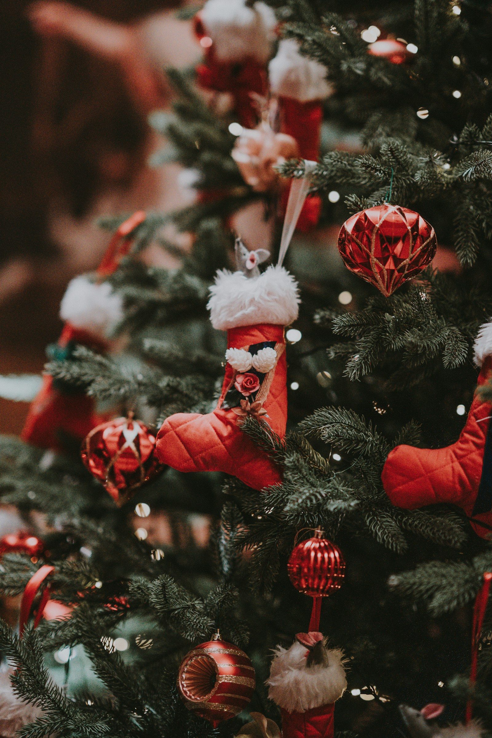 Christmas Lights photo 5
