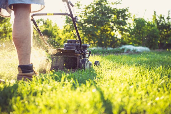 Professional landscaping services Toronto