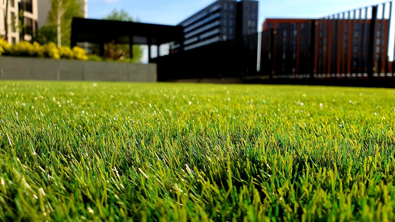 Landscaping photo 5