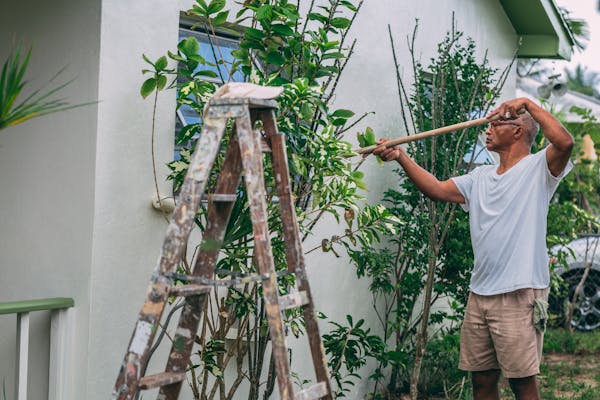 Professional painting services GTA